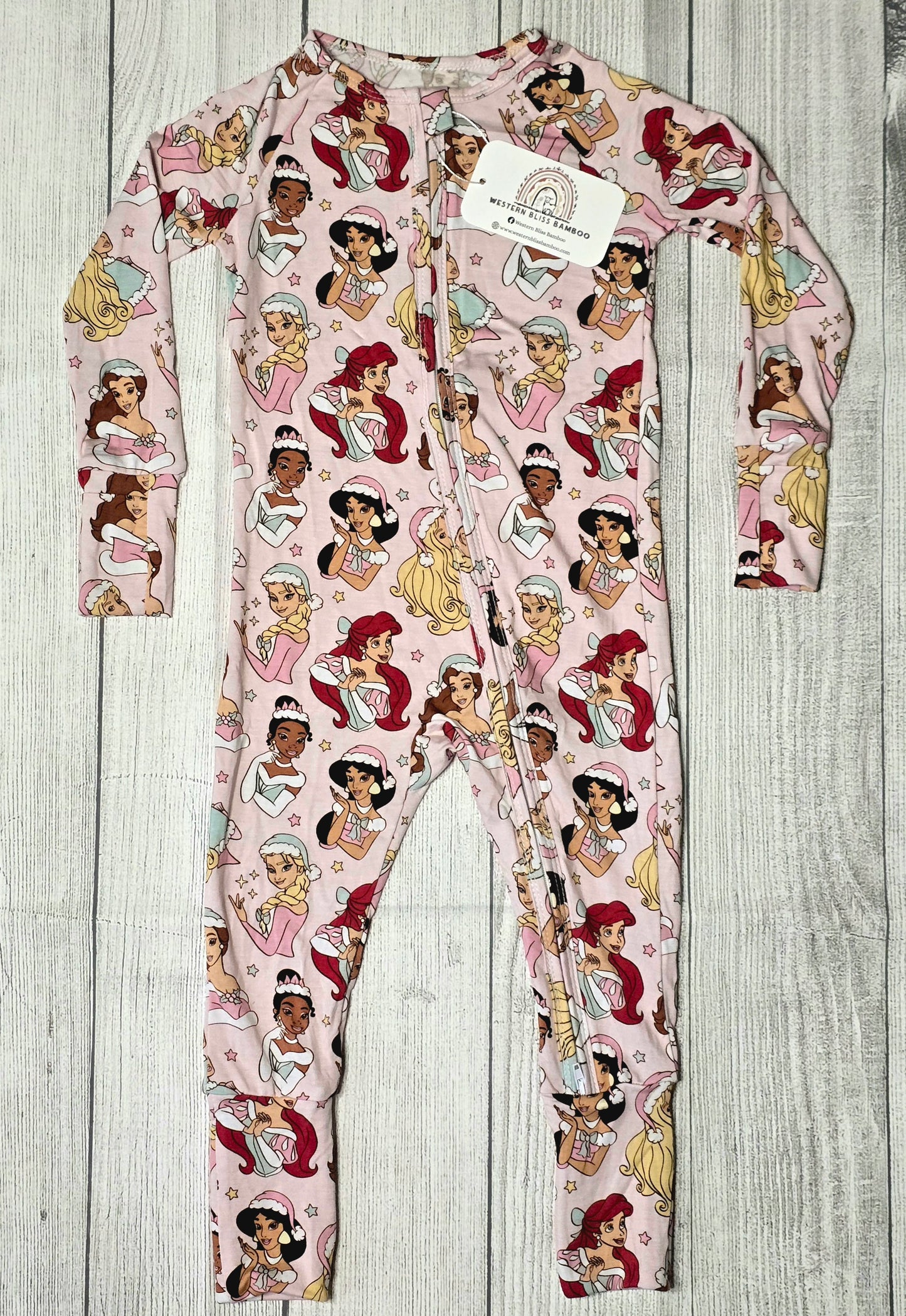 Princess' Winter Wonderland Zippy